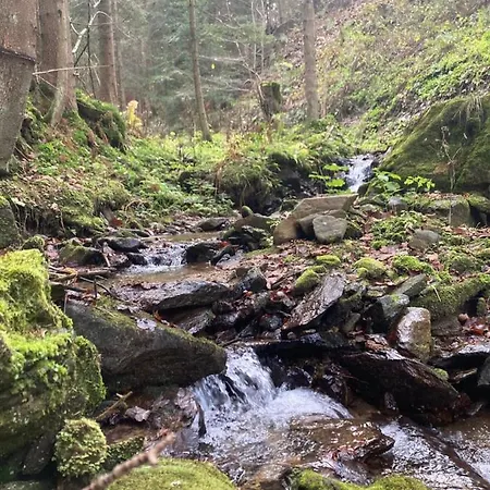 Almhaus Waldblick Holiday home Bad Sankt Leonhard im Lavanttal