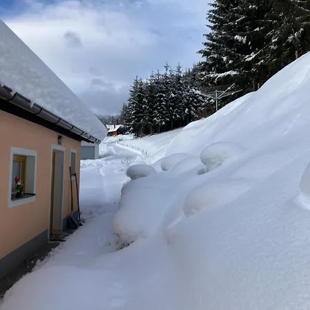 Almhaus Waldblick