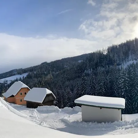 Almhaus Waldblick Bad Sankt Leonhard im Lavanttal