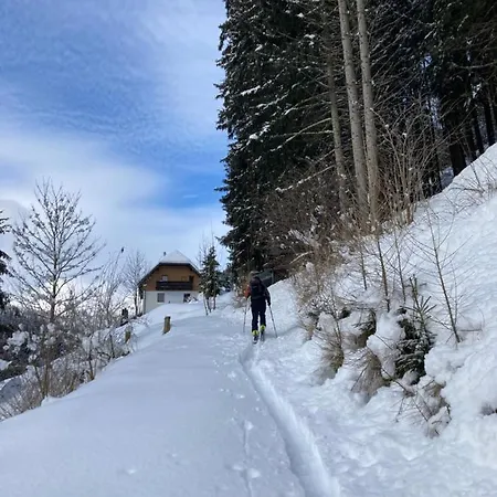 Vakantiehuis Almhaus Waldblick *
